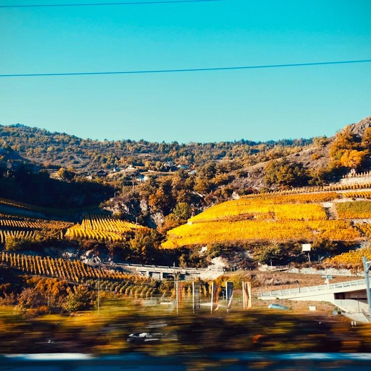 Family terraces and cafés for calm evenings in Munich
